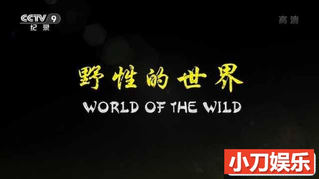 央视自然生态纪录片《野性的世界 World of the Wild》全6集中字 TS/蓝光高清纪录片插图