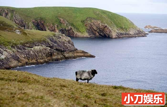 央视自然生态纪录片《野性爱尔兰 Wild Ireland》全1集 TS/蓝光高清纪录片插图