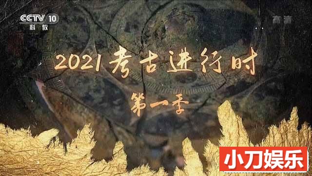 央视历史考古纪录片《2021考古进行时》第1季 TS/蓝光高清纪录片插图