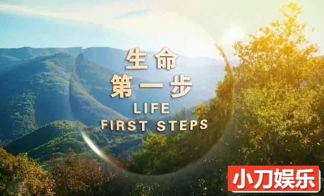 生命诞生纪录片《生命第一步 Life First Steps》全3集中字 TS/蓝光高清纪录片插图