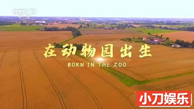 国家地理动物哺育纪录片《在动物园出生 Born in the Zoo》全1集中字 TS/蓝光高清纪录片插图