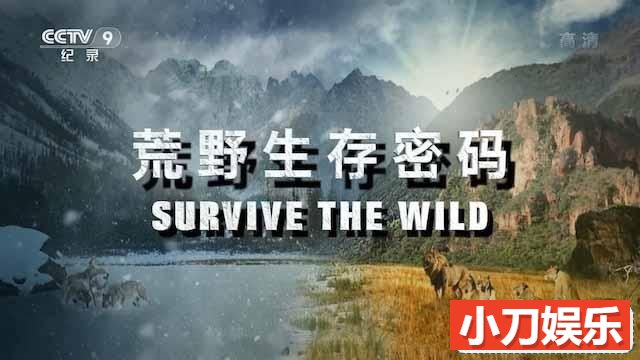 国家地理野生动物纪录片《荒野生存密码 Survive the Wild》全6集中字 TS/蓝光高清纪录片插图