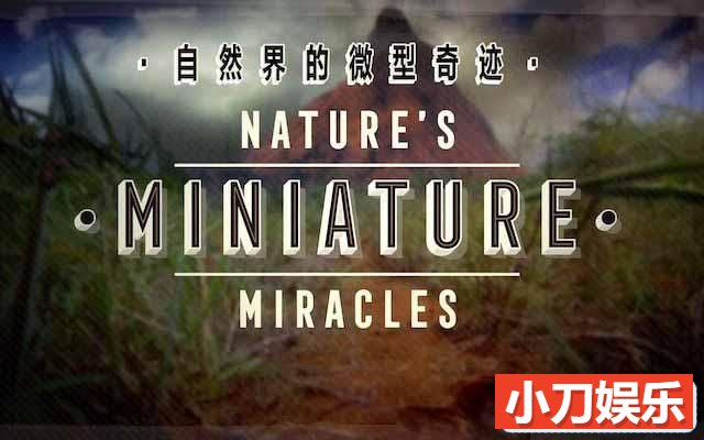 央视自然生态纪录片《大自然的微型奇迹 Nature’s Miniature miracles》全1集中字 TS/蓝光高清纪录片插图