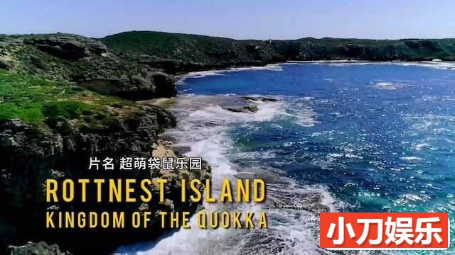 国家地理自然生态纪录片《洛特尼斯岛：短尾矮袋鼠的王国 Rottnest Island：Kingdom Of The Quokka》全2集中字 TS/蓝光高清纪录片插图