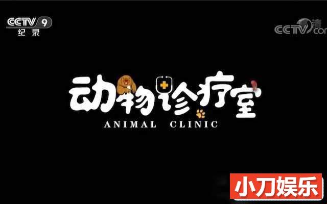 央视宠物医疗纪录片《动物诊疗室 Animal Clinic》全5集 TS/蓝光高清纪录片插图