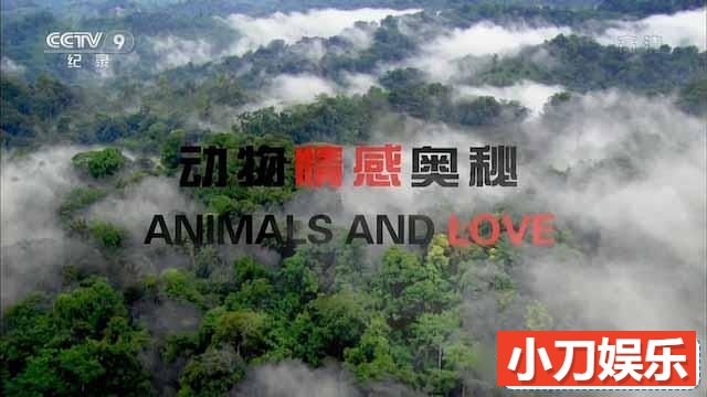 BBC野生动物纪录片《动物情感奥秘 Animals and Love》全2集中字 TS/蓝光高清纪录片插图