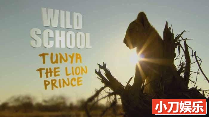 BBC南美自然生态纪录片《野蛮学校 Wild School》全6集中字 TS/蓝光高清纪录片插图