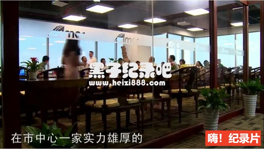 [中国剩女：一起来看看她们是如何被剩下的2017][豆瓣7.1][1集][国语中字] 1080P下载