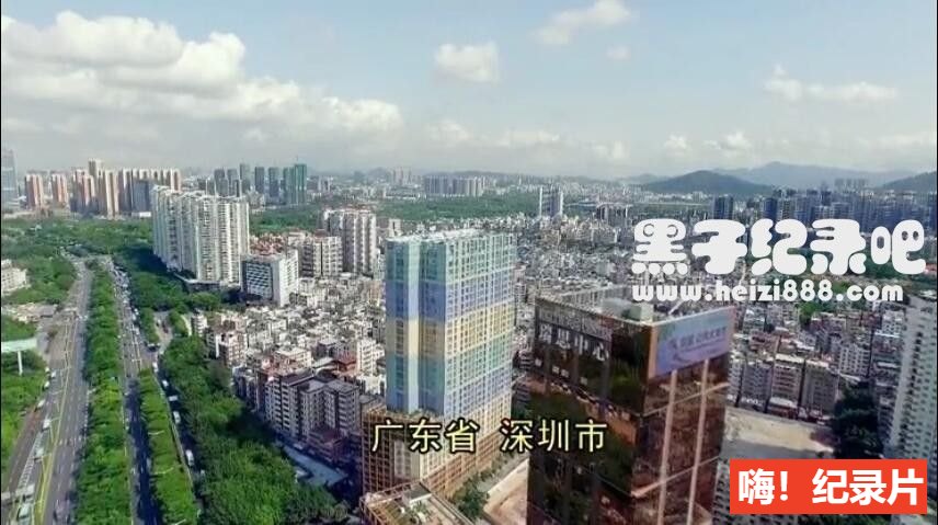 [中国剩女：一起来看看她们是如何被剩下的2017][豆瓣7.1][1集][国语中字] 1080P下载