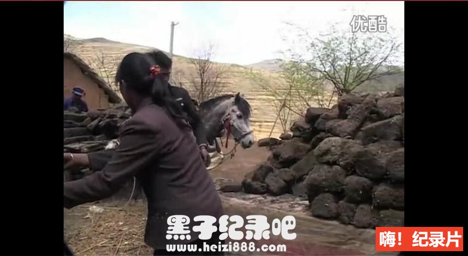 [喜洋塘][王兵纪录片][豆瓣7.0][原生配音无字幕]720P下载