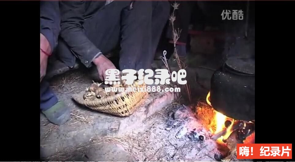 [喜洋塘][王兵纪录片][豆瓣7.0][原生配音无字幕]720P下载