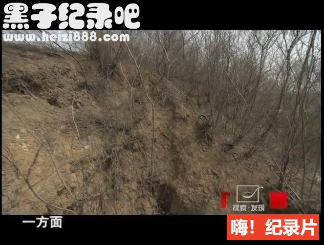 [发现曹操墓][央视考古纪录片][全4集][国语配音中文字幕]下载