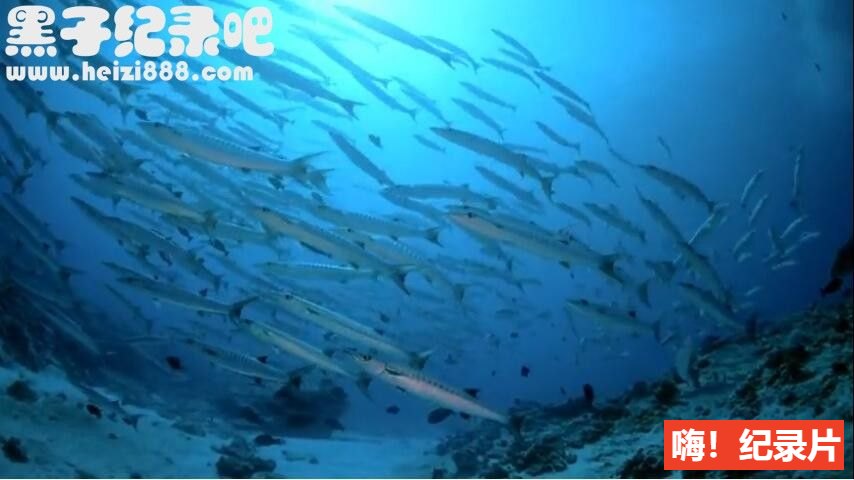 [希腊迷城 2006][IMAX纪录片][1集][英语配音中英双字幕] 1080P下载