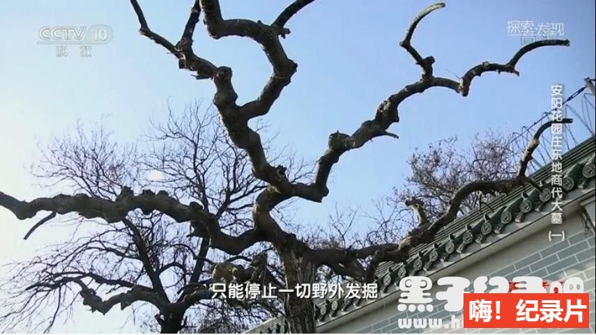 [2020考古探奇][央视考古纪录片][第二季 全15集][国语配音中文字幕] 1080P下载