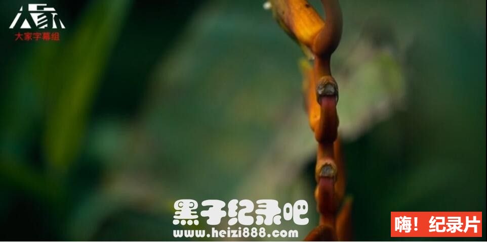 [主厨的餐桌 Chef [主厨的餐桌 Chef