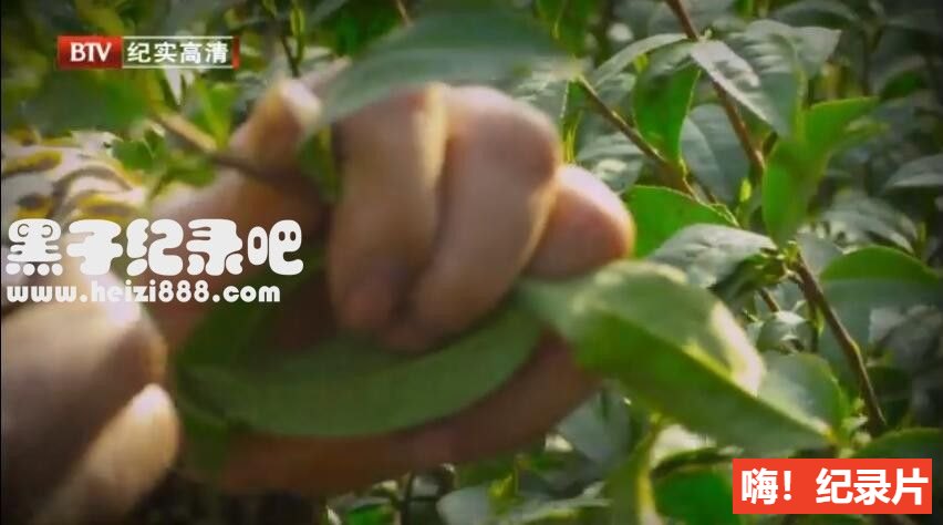 [江南味道][BTV美食纪录片][8集][国语配音中文字幕] 720P纪录片下载