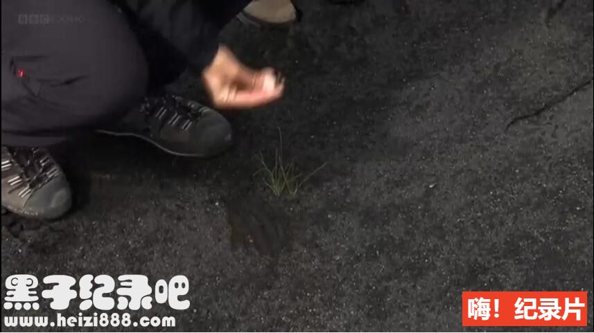 [与茱莉亚·布莱伯利徒步游冰岛][BBC纪录片][1集][原声配音中英双字] 720P纪录片下载