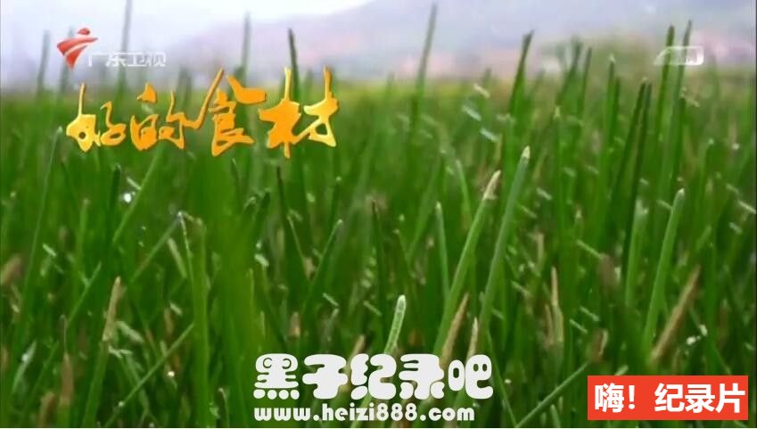 [老广的味道][广东卫视纪录片][第二季 全7集][国语配音中文字幕] 720P纪录片下载