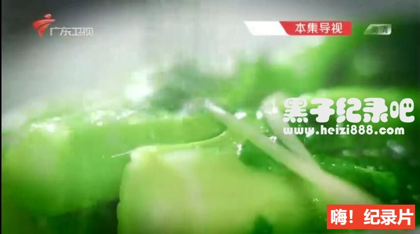 [老广的味道][广东卫视纪录片][国语中字][第一季 全5集] 720P纪录片下载