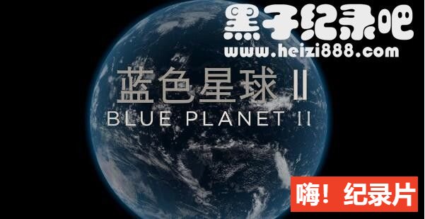 《蓝色星球2 Blue Planet II》全7集 国语/英语配音中英字幕 1080P/4k超清下载