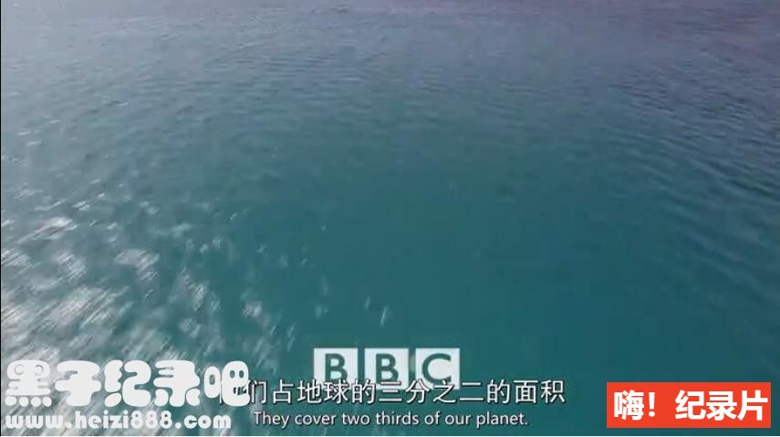 《向深海出发/海洋 Oceans 2008》全8集 原声配音中英双字 720P高清下载