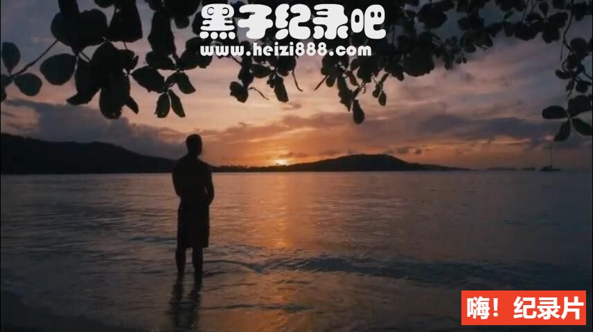 《解放：人性革命 2017》英语内陷中字 1080P超清下载