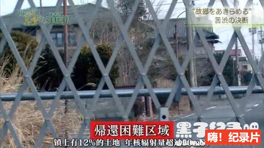 [福岛核事故3年后 13万避难者的选择][1集][NHK][日语配音中文字幕]720P下载