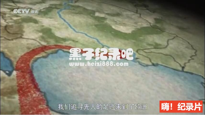 [人类旅程/奇妙的人类旅程][5集][央视译制][国语配音中文字幕]720P下载