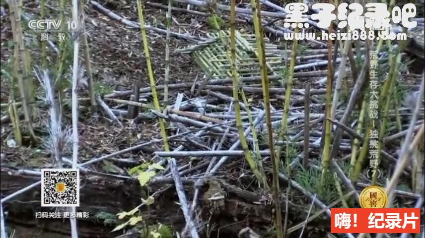 [荒野生存大挑战][7集][央视译制][中文字幕]1080P下载