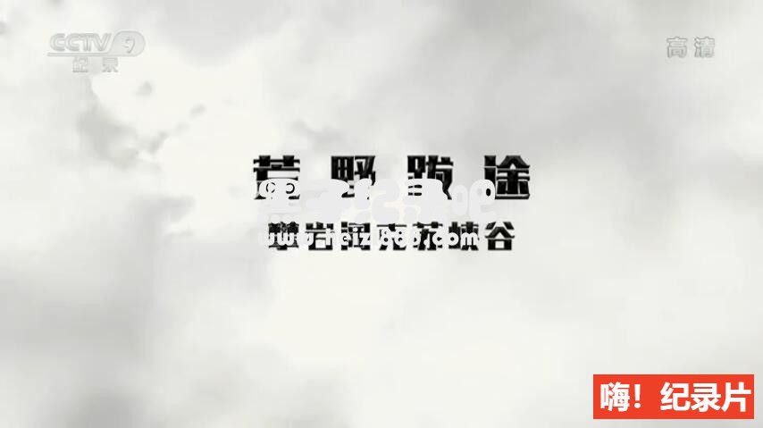 [荒野跋途/跋途西疆][4集][央视纪录片][国语配音中文字幕]1080P下载